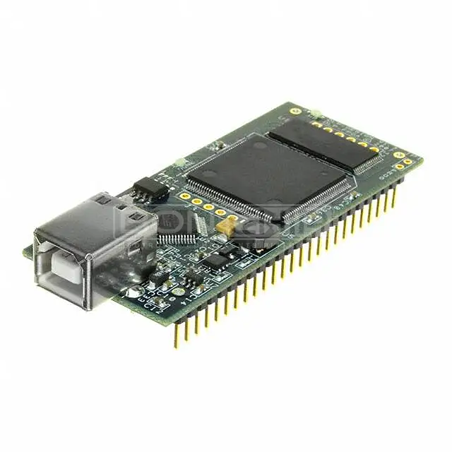 DLP-FPGA