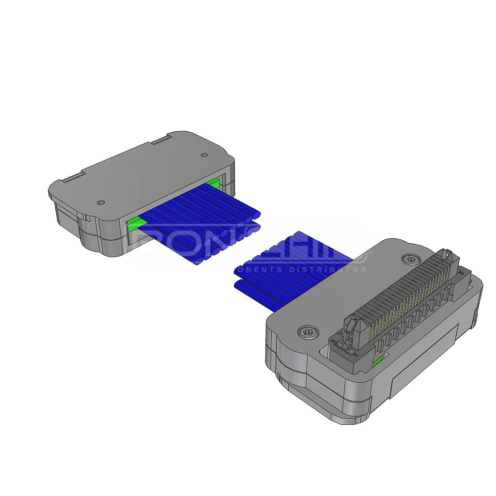 ERDP-025-24.00-TBR-TTL-5-D