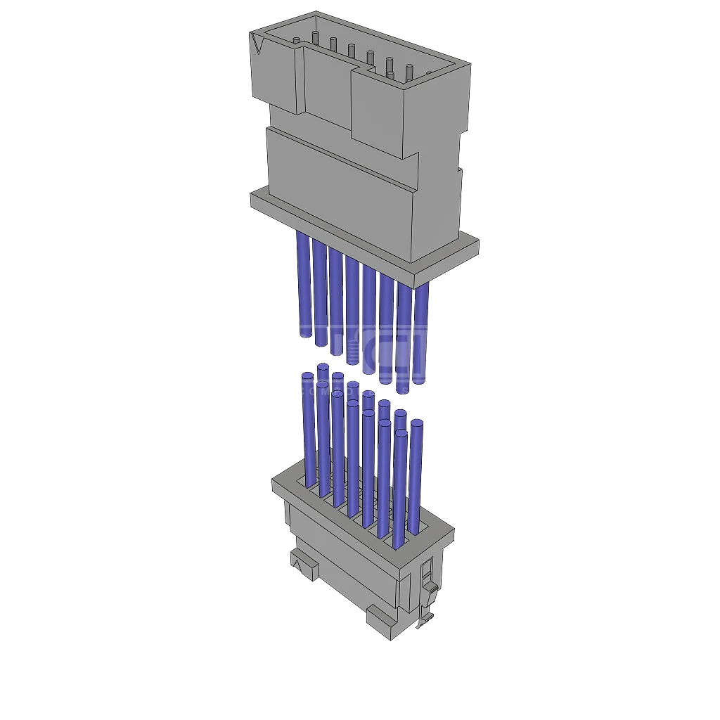 T2SDT-07-24-L-03.25-TR-NUS