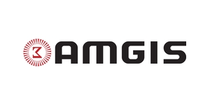AlfaMag-Electronics-AMGIS