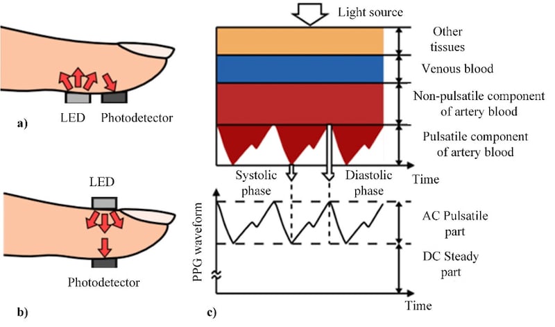Working principles of PPG